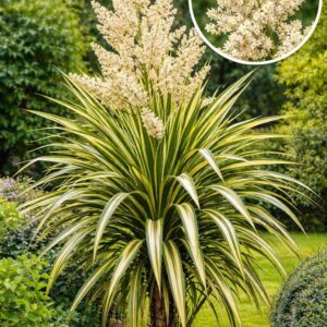 découvrez la cordyline australe, une plante ornementale élégante et résistante, idéale pour apporter une touche exotique à votre jardin ou intérieur.